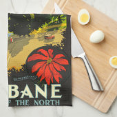 ブリスベン・オーストラリア観光ポスター キッチンタオル (四つ折り)