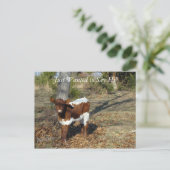 ブリスポストカカスタマイズー ポストカード (スタンド正面)