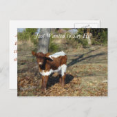 ブリスポストカカスタマイズー ポストカード (正面/裏面)