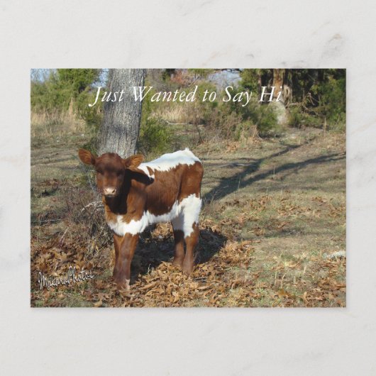 ブリスポストカカスタマイズー ポストカード (正面)