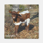 ブリスマグネットカスタマイズ マグネット (正面)