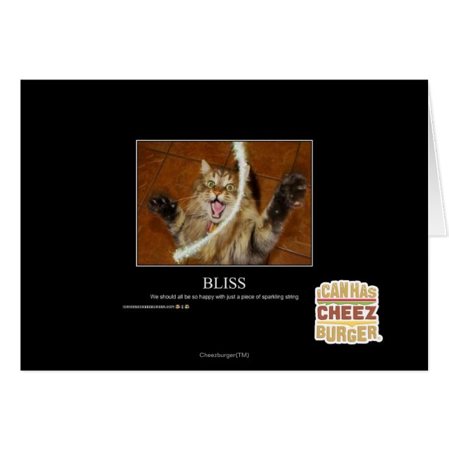 ブリス (正面横)