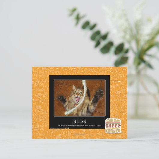 ブリス ポストカード (スタンド正面)