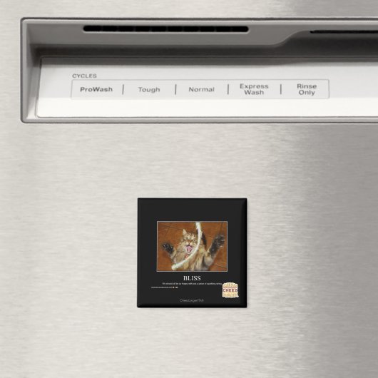 ブリス マグネット (インサイチュ (食洗機))