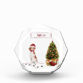 ブリタニおもしろいスのクリスマス犬と木 フォトブロック (正面)