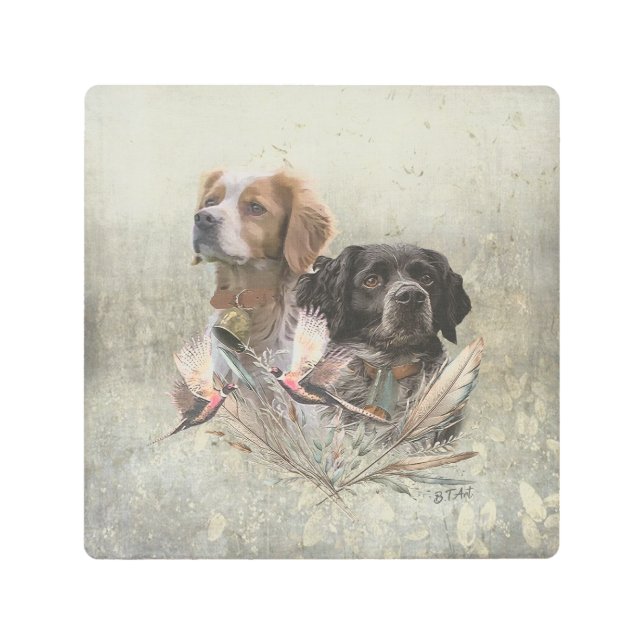 ブリタニーのスパニエル犬フランスの、ブリタニー、バードドッグ。 メタルプリント (正面)