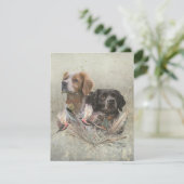 ブリタニーのスパニエル犬フランスの、ブリタニー、バードドッグ。 招待状 (スタンド正面)