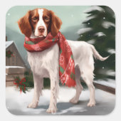 ブリタニーのスパニエル犬犬で雪のクリスマス スクエアシール (正面)