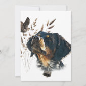 ブリタニースパニエル犬とウッドコック 招待状 (裏面)