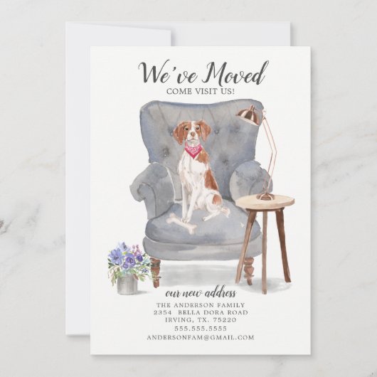 ブリタニースパニエル犬の動きの発表 案内状 (正面)