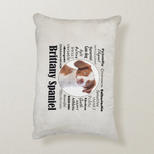 ブリタニースパニエル犬の特徴 アクセントクッション (裏面(縦))