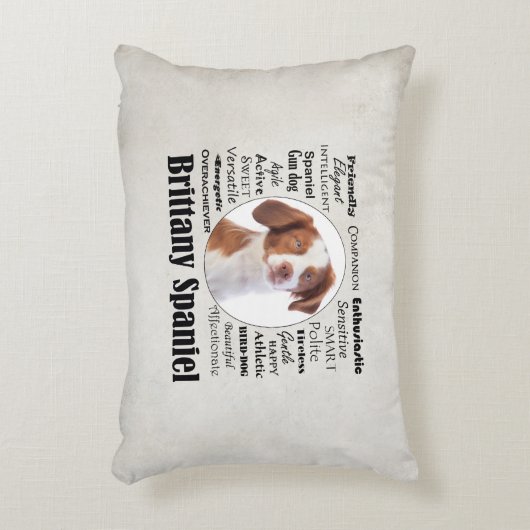 ブリタニースパニエル犬の特徴 アクセントクッション (正面(垂直))