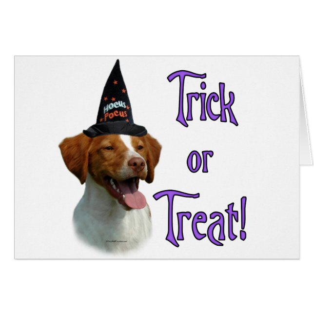 ブリタニースパニエル犬トリック (正面横)