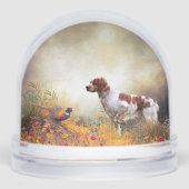 ブリタニースパニエル犬フランスのブリタニー (正面)