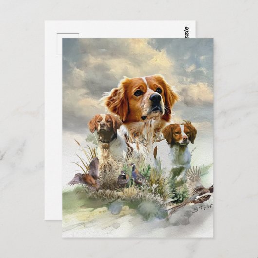 ブリタニースパニエル犬フランスの、ブリタニー、バードドッグ ポストカード (正面/裏面)