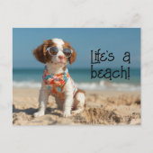 ブリタニースパニエル犬子犬サングラスを着て ポストカード (正面)