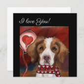 ブリタニースパニエル犬 (正面/裏面)