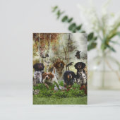 ブリタニースパニエル犬、バード狩り ポストカード (スタンド正面)