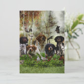 ブリタニースパニエル犬、バード狩り 招待状 (スタンド正面)