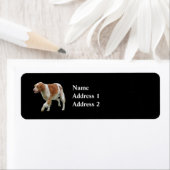 ブリタニースパニエル犬 ラベル (インサイチュ)