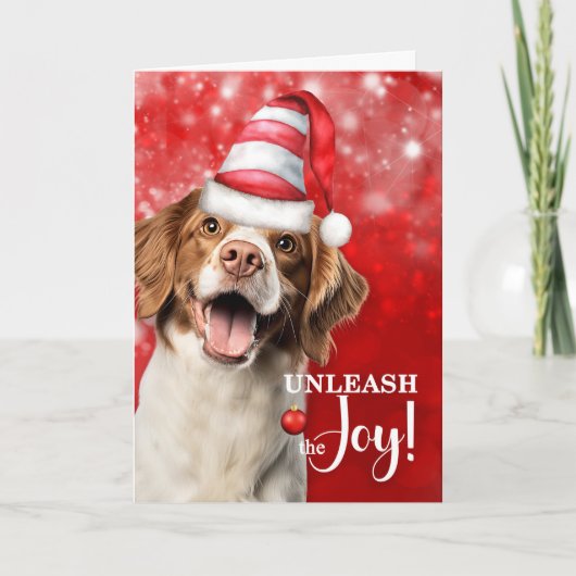 ブリタニースパニエル犬 喜びを解き放て クリスマス (正面)