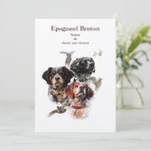 ブリタニースパニエル犬 招待状 (スタンド正面)