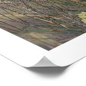 ブリタニースパニエル犬、鳥の狩りシーズン ポスター (角)