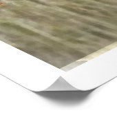 ブリタニースパニエル犬、鳥の狩りシーズン ポスター (角)