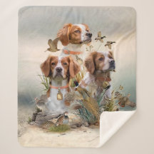 ブリタニースパニエル犬、鳥への情熱