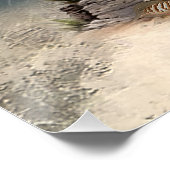 ブリタニースパニエル犬、鳥への情熱 ポスター (コーナー)