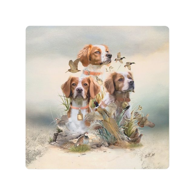 ブリタニースパニエル犬、鳥への情熱 メタルプリント (正面)