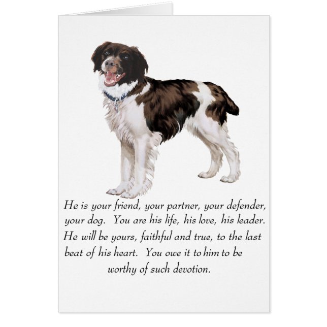 ブリタニー形器 – オス犬 (正面)