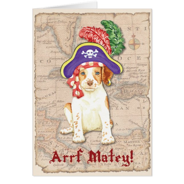 ブリタニー海賊 (正面)