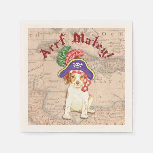 ブリタニー海賊 スタンダードカクテルナプキン (正面)