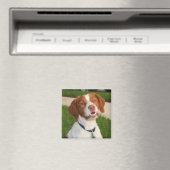 ブリタニー磁石 マグネット (インサイチュ (食洗機))