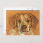 ブリタニー葉書 ポストカード (正面/裏面)