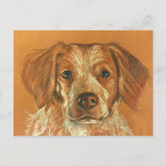 ブリタニー葉書 ポストカード (正面)