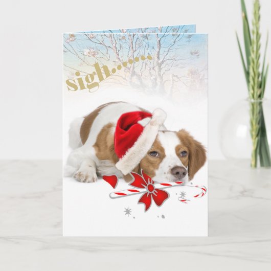 ブリタニー・サンタは長いカードを取る シーズンカード (正面)