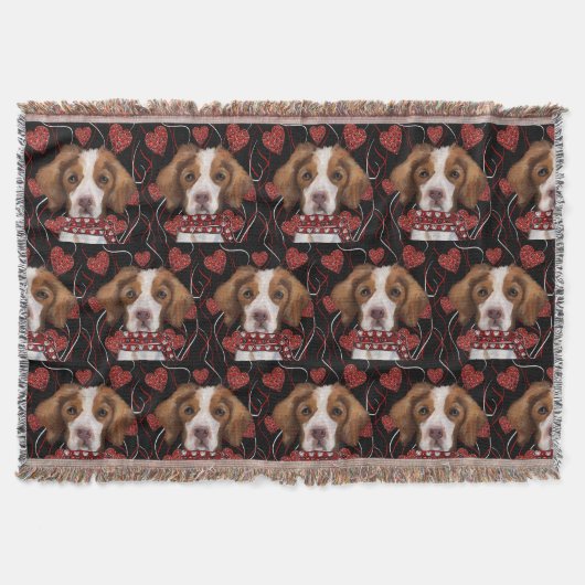 ブリタニー スローブランケット (正面)