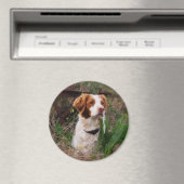 ブリタニー マグネット (インサイチュ (食洗機))