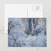 ブリダルベイルの下の木々の新しい降雪 ポストカード (正面/裏面)