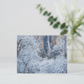 ブリダルベイルの下の木々の新しい降雪 ポストカード (スタンド正面)