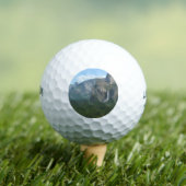 ブリダルヴェール滝とハーフドームatヨセミテ ゴルフボール (インサイチュ 木)