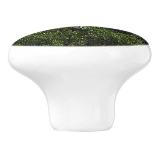 ブリダルヴェール滝ズアットヨセミテ国立公園 セラミックノブ (側面)