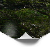 ブリダルヴェール滝ズアットヨセミテ国立公園 ポスター (コーナー)