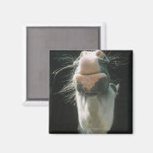 ブリチ素晴らしアン マグネット (正面/裏面)