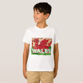 ブリックのウェールズ国旗 Tシャツ (正面フル)