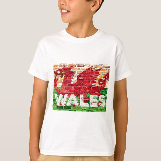ブリックのウェールズ国旗 Tシャツ (正面)