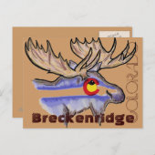 ブリッケンリッジコロラドエルクポストカード ポストカード (正面/裏面)