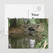 ブリッジはがき ポストカード (正面/裏面)